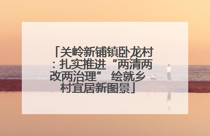 关岭新铺镇卧龙村：扎实推进“两清两改两治理” 绘就乡村宜居新图景
