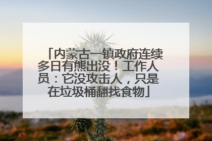 内蒙古一镇政府连续多日有熊出没！工作人员：它没攻击人，只是在垃圾桶翻找食物