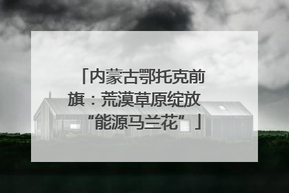 内蒙古鄂托克前旗：荒漠草原绽放“能源马兰花”