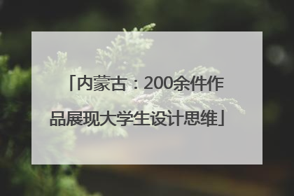 内蒙古：200余件作品展现大学生设计思维