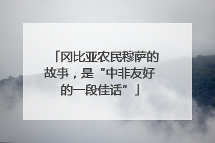 冈比亚农民穆萨的故事，是“中非友好的一段佳话”