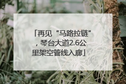 再见“马路拉链”，琴台大道2.6公里架空管线入廊