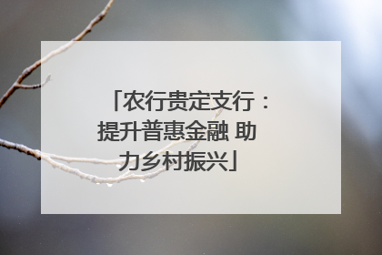 农行贵定支行：提升普惠金融 助力乡村振兴