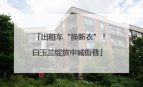出租车“换新衣”！白玉兰绽放申城街巷