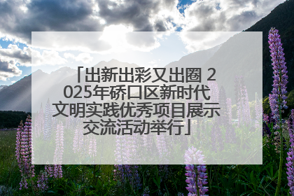 出新出彩又出圈 2025年硚口区新时代文明实践优秀项目展示交流活动举行