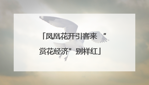 凤凰花开引客来 “赏花经济”别样红