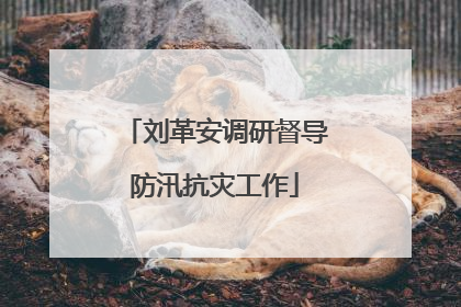 刘革安调研督导防汛抗灾工作