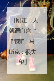刚走一天就遭白宫“背刺” 马斯克：很失望