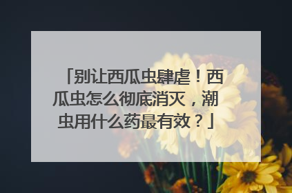 别让西瓜虫肆虐！西瓜虫怎么彻底消灭，潮虫用什么药最有效？