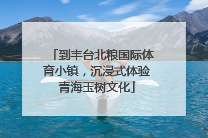 到丰台北粮国际体育小镇，沉浸式体验青海玉树文化