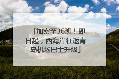 加密至36班！即日起，西海岸往返青岛机场巴士升级