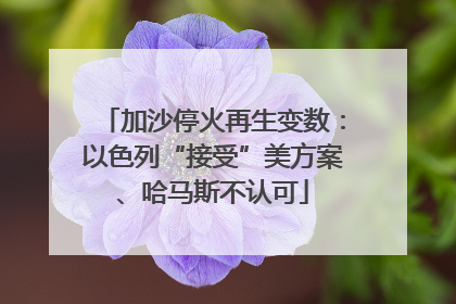 加沙停火再生变数：以色列“接受”美方案、哈马斯不认可