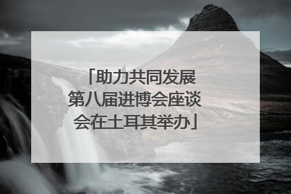 助力共同发展 第八届进博会座谈会在土耳其举办