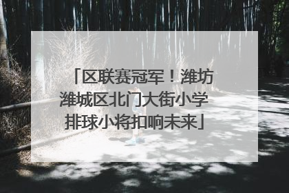 区联赛冠军！潍坊潍城区北门大街小学排球小将扣响未来