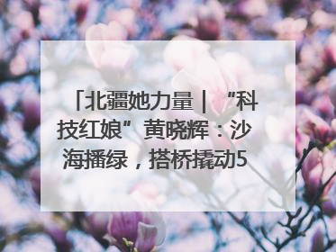 北疆她力量｜“科技红娘”黄晓辉：沙海播绿，搭桥撬动5.3亿研发