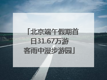 北京端午假期首日31.67万游客雨中漫步游园