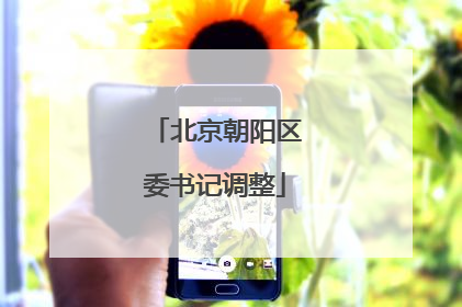 北京朝阳区委书记调整