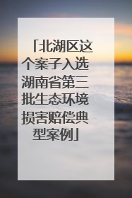 北湖区这个案子入选湖南省第三批生态环境损害赔偿典型案例