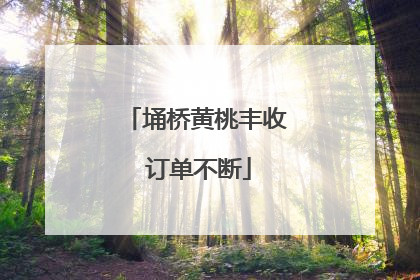 埇桥黄桃丰收 订单不断