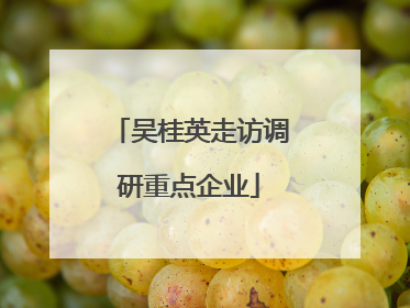 吴桂英走访调研重点企业