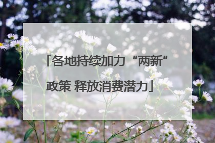 各地持续加力“两新”政策 释放消费潜力