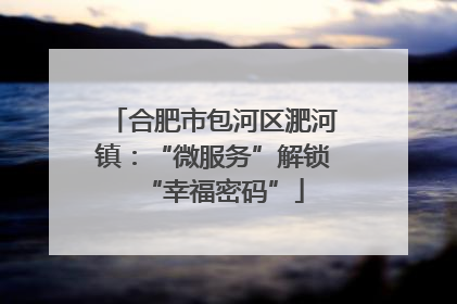 合肥市包河区淝河镇：“微服务”解锁“幸福密码”