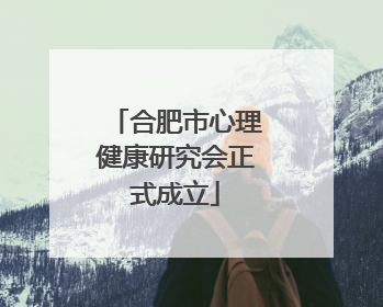 合肥市心理健康研究会正式成立