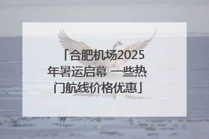 合肥机场2025年暑运启幕 一些热门航线价格优惠