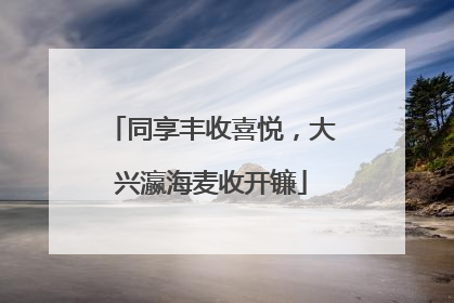 同享丰收喜悦，大兴瀛海麦收开镰