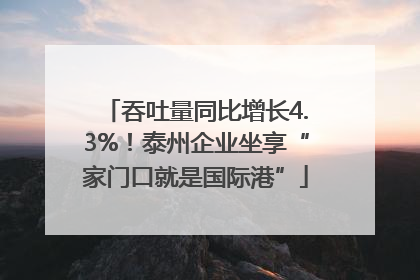 吞吐量同比增长4.3%！泰州企业坐享“家门口就是国际港”