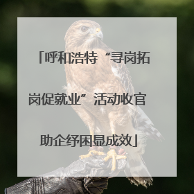 呼和浩特“寻岗拓岗促就业”活动收官 助企纾困显成效