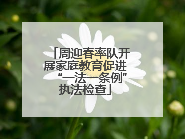 周迎春率队开展家庭教育促进“一法一条例”执法检查