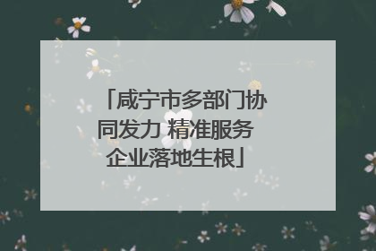 咸宁市多部门协同发力 精准服务企业落地生根