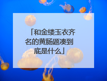和金缕玉衣齐名的黄肠题凑到底是什么