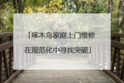 啄木鸟家庭上门维修在规范化中寻找突破