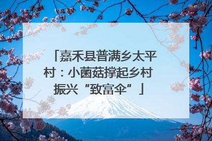 嘉禾县普满乡太平村：小菌菇撑起乡村振兴“致富伞”