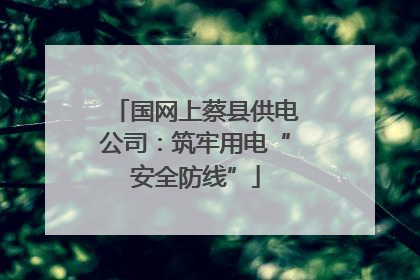 国网上蔡县供电公司：筑牢用电“安全防线”