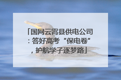 国网云霄县供电公司：答好高考“保电卷”，护航学子逐梦路