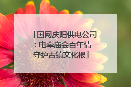 国网庆阳供电公司：电牵庙会百年情 守护古镇文化根