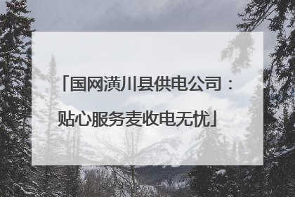 国网潢川县供电公司：贴心服务麦收电无忧