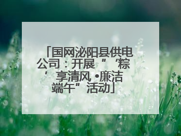国网泌阳县供电公司：开展“‘粽’享清风 •廉洁端午”活动