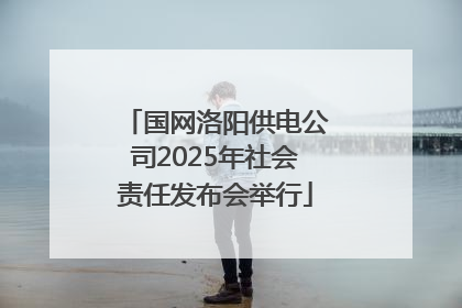 国网洛阳供电公司2025年社会责任发布会举行