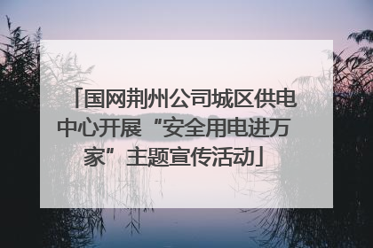 国网荆州公司城区供电中心开展“安全用电进万家”主题宣传活动