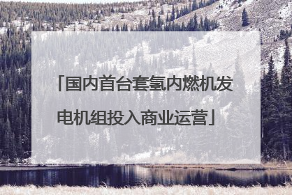 国内首台套氢内燃机发电机组投入商业运营