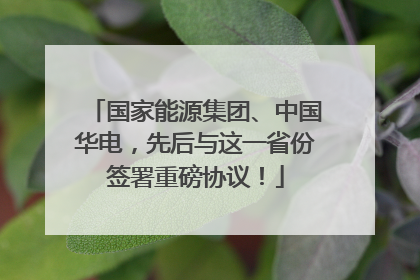 国家能源集团、中国华电，先后与这一省份签署重磅协议！