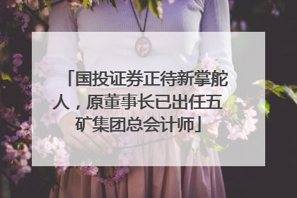国投证券正待新掌舵人，原董事长已出任五矿集团总会计师