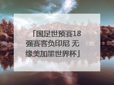 国足世预赛18强赛客负印尼 无缘美加墨世界杯