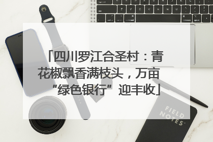 四川罗江合圣村：青花椒飘香满枝头，万亩“绿色银行”迎丰收