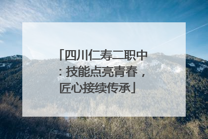 四川仁寿二职中：技能点亮青春，匠心接续传承