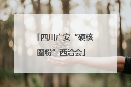 四川广安“硬核圈粉”西洽会